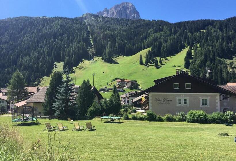 בית מלון כפרי Villa David Dolomites