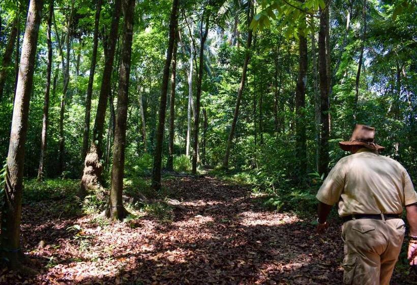 Resort Rafters Retreat