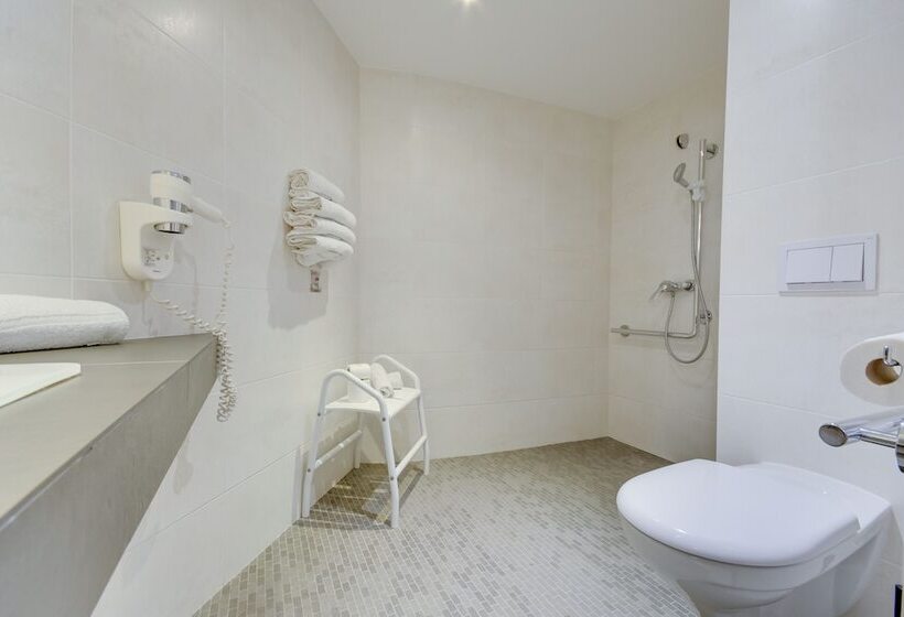 Brit Hotel Lille Centre