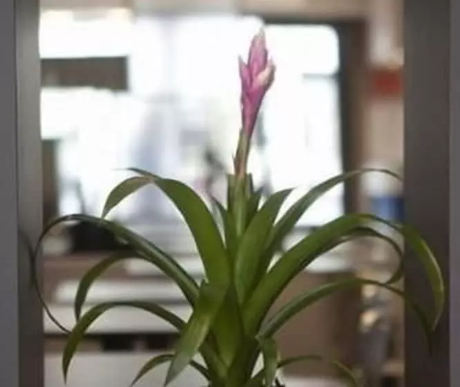 هتل Cecyl Reims Centre