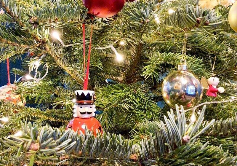 فندق Du Cygne Tours