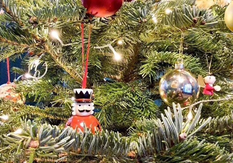 فندق Du Cygne Tours