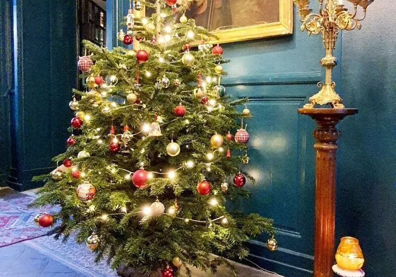 فندق Du Cygne Tours