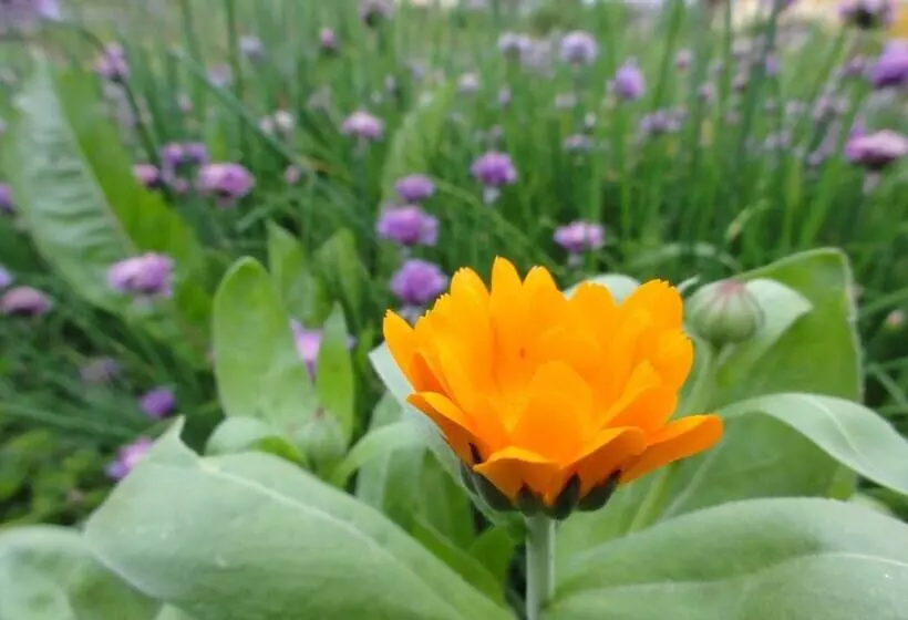 ホテル Familiengasthof Maier