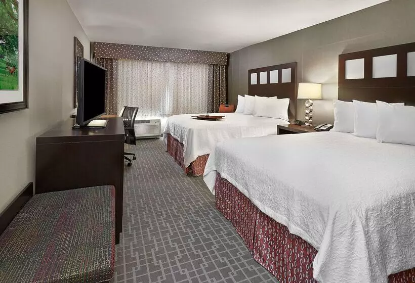 호텔 Hampton Inn By Hilton Calgary Airport North