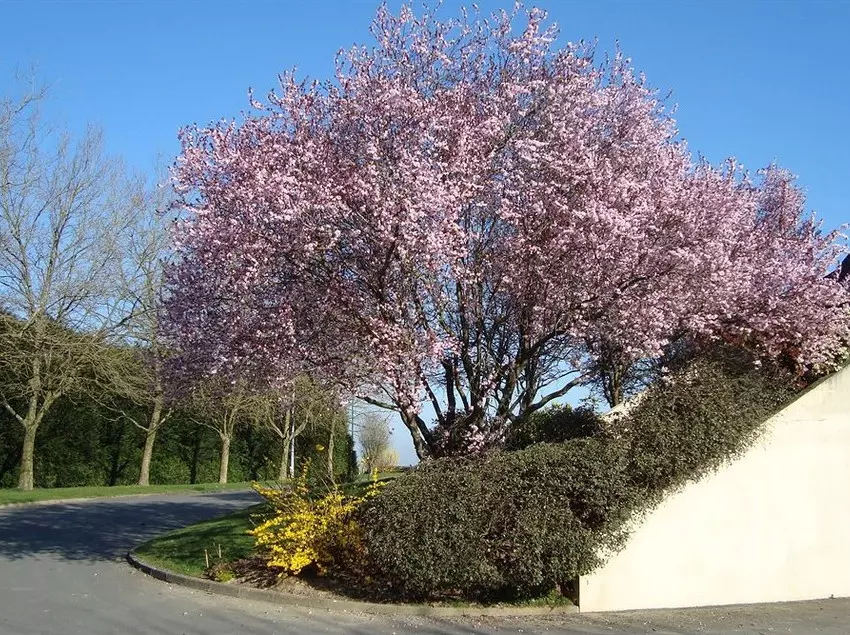 酒店 Restaurant Le Bretagne