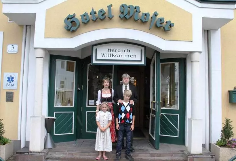 호텔 Restaurant Moser Pöchlarn