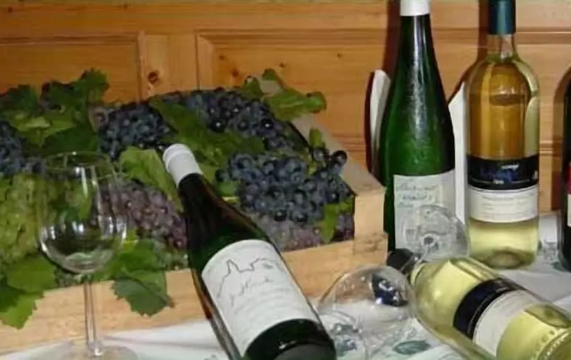 호텔 Restaurant Moser Pöchlarn