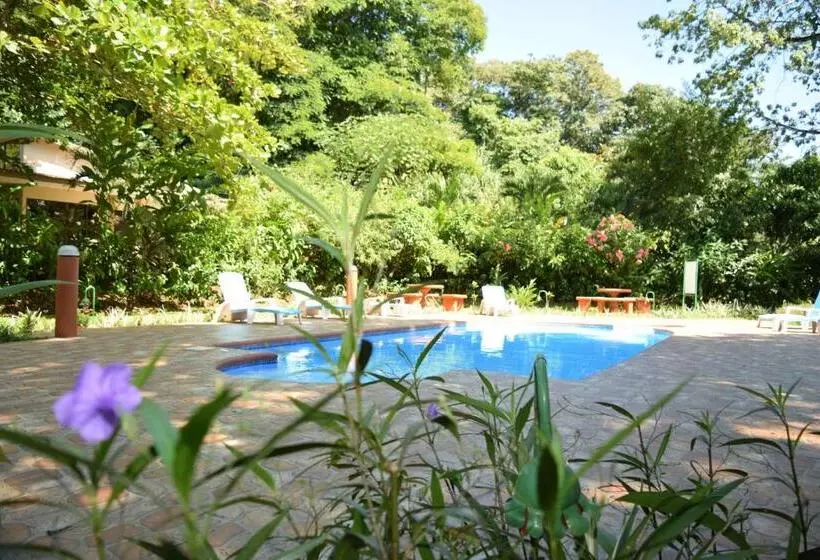 Сельский отель Ara Ambigua Lodge