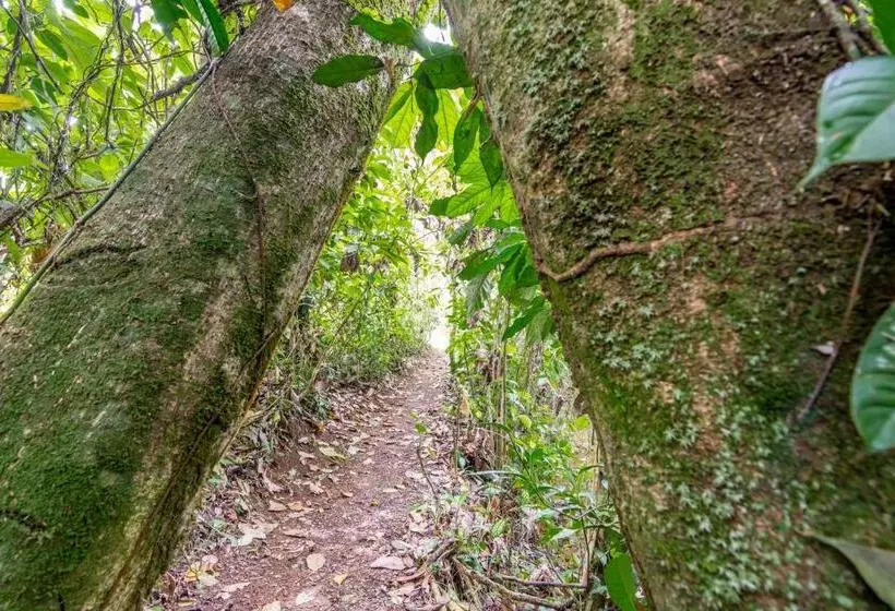 Сельский отель Ara Ambigua Lodge