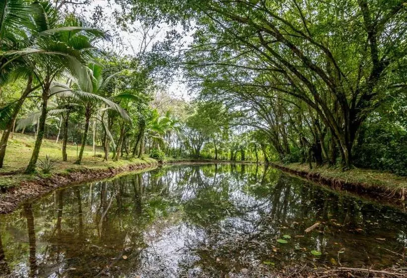 Сельский отель Ara Ambigua Lodge