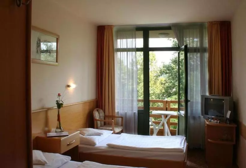 Отель Thermal Harkany