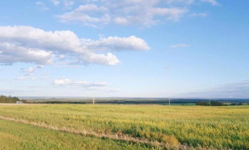 Мотель Hi Valley Motor Inn