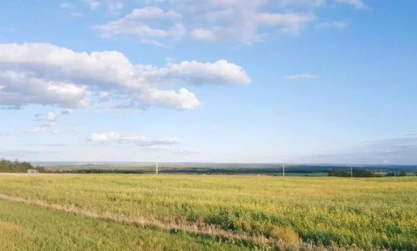 모텔 Hi Valley Motor Inn