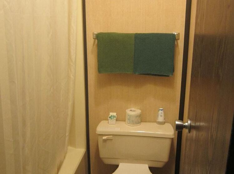 Motel Inn Of The South