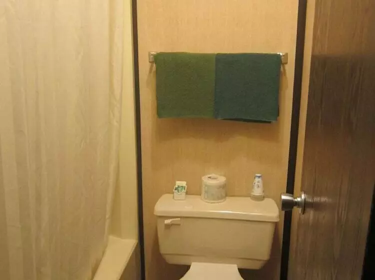 汽车旅馆 Inn Of The South