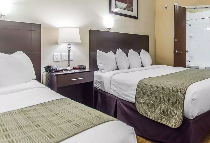 מוטל Quality Inn