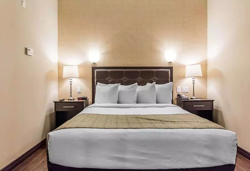 מוטל Quality Inn