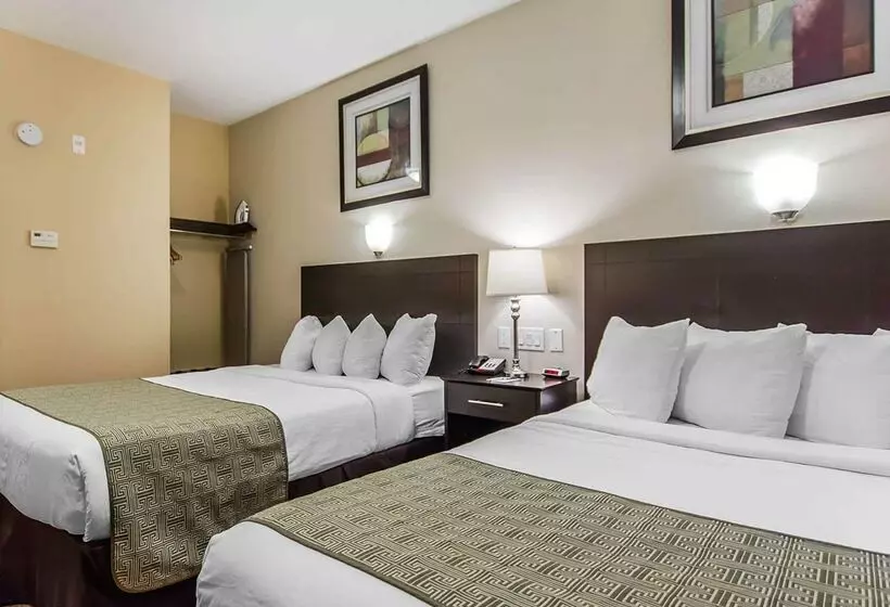 מוטל Quality Inn