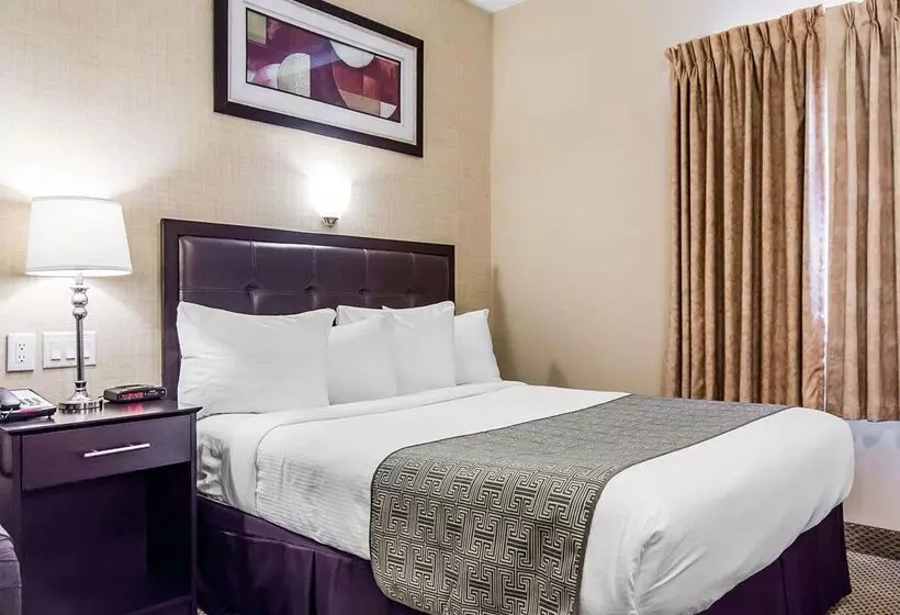 מוטל Quality Inn