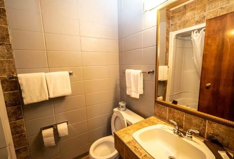 Мотель Vegreville Garden Inn