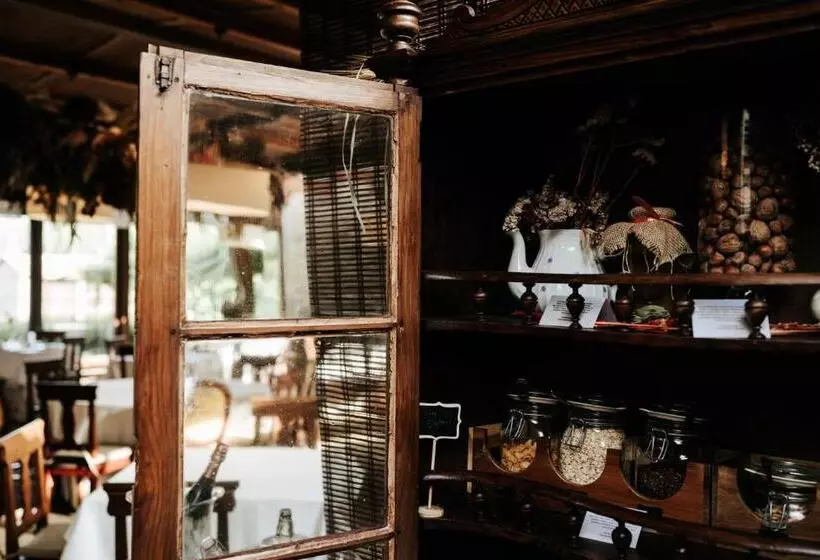 Casa Grande Do Bachao