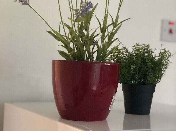 פונדק Apple House Guesthouse Heathrow Airport