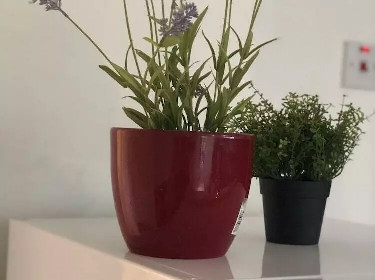 Inn Apple House Guesthouse Heathrow Airport