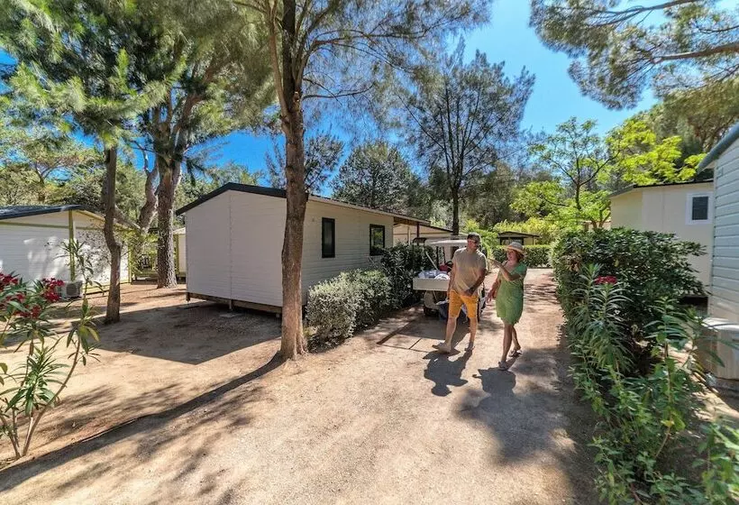 Hotel Camping La Pinède Enchantée