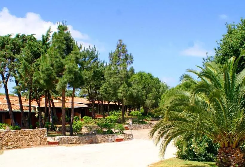 Residence Blue Corner Porto Pollo