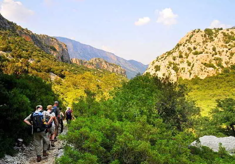 Residence Blue Corner Porto Pollo