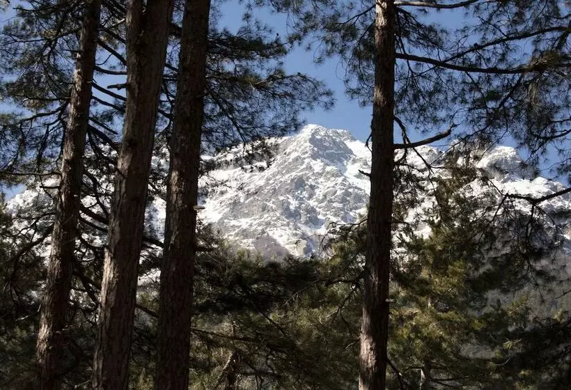 Hotel Chambres D Hôtes Casa Alta