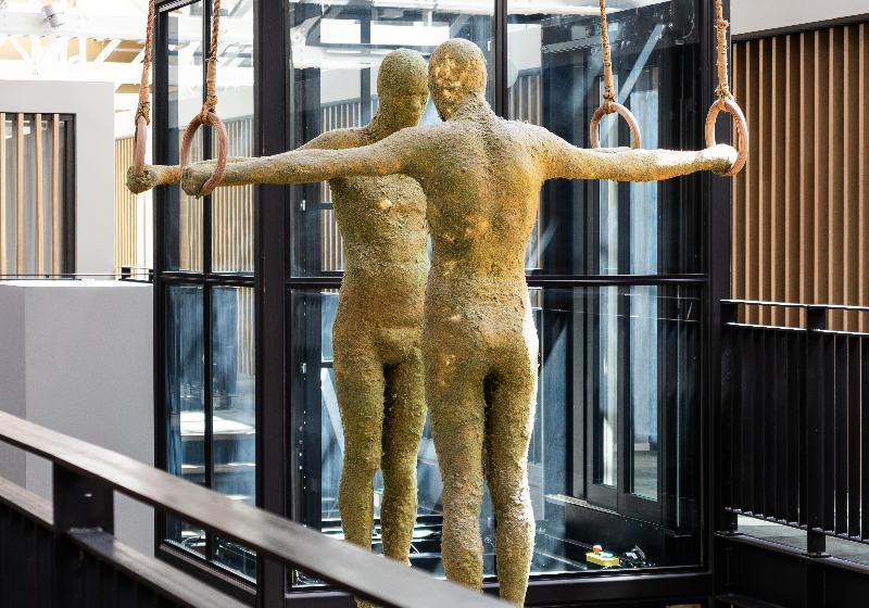 בית מלון כפרי De Hallen