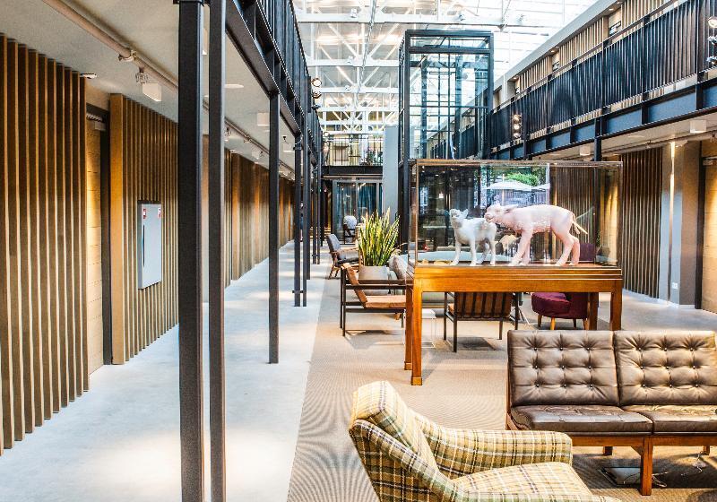 בית מלון כפרי De Hallen