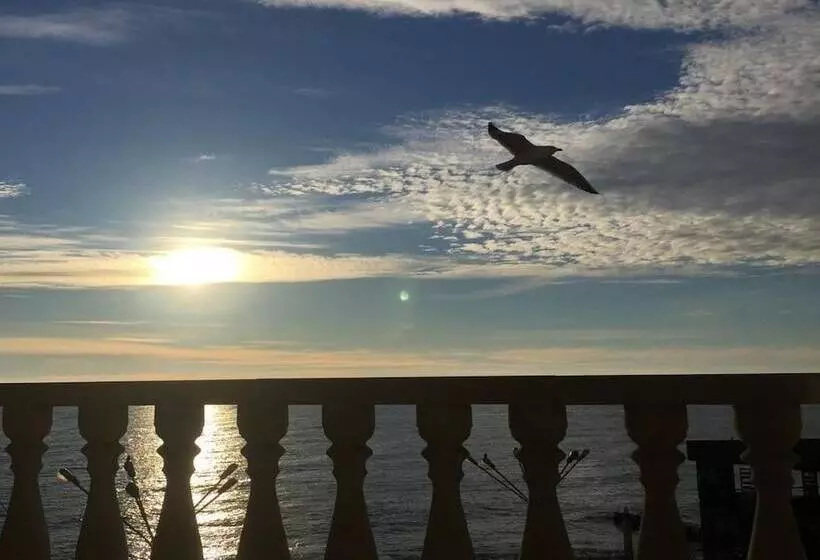 Отель Dolphin Resort & Conference Center