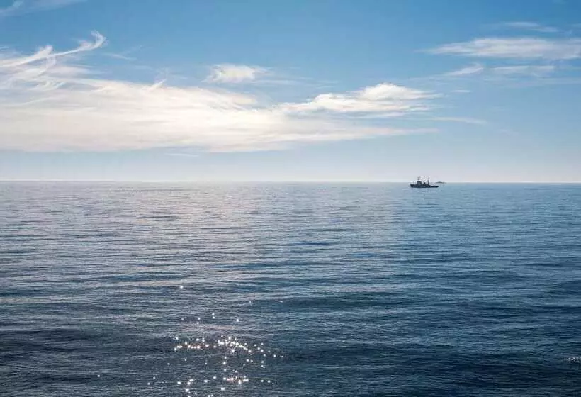 Отель Dolphin Resort & Conference Center