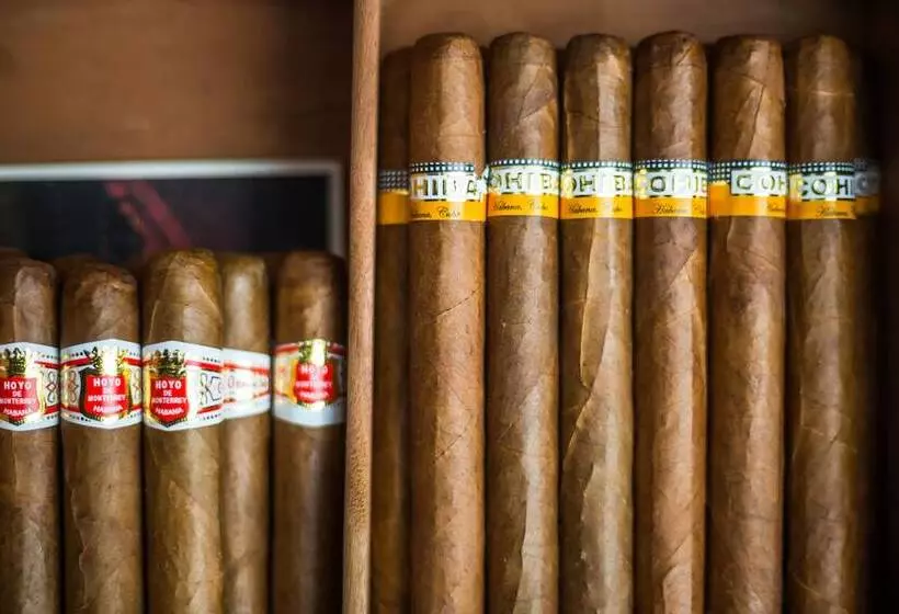 Hotel Nobila Airport