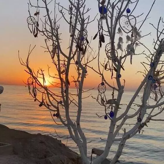 ホテル Van Sahmaran