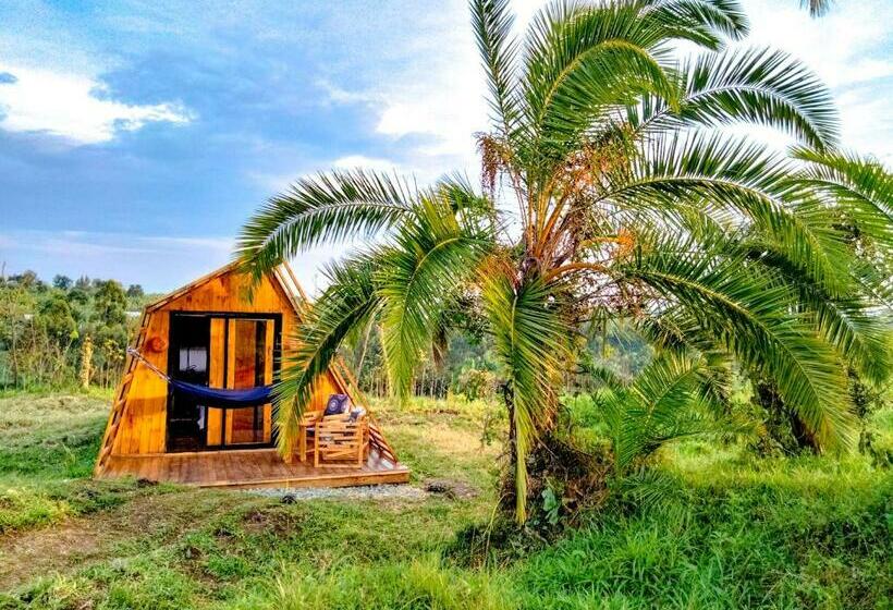 هتل Akira Alira Lodge