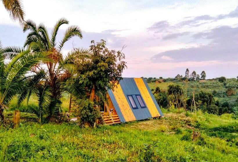 هتل Akira Alira Lodge