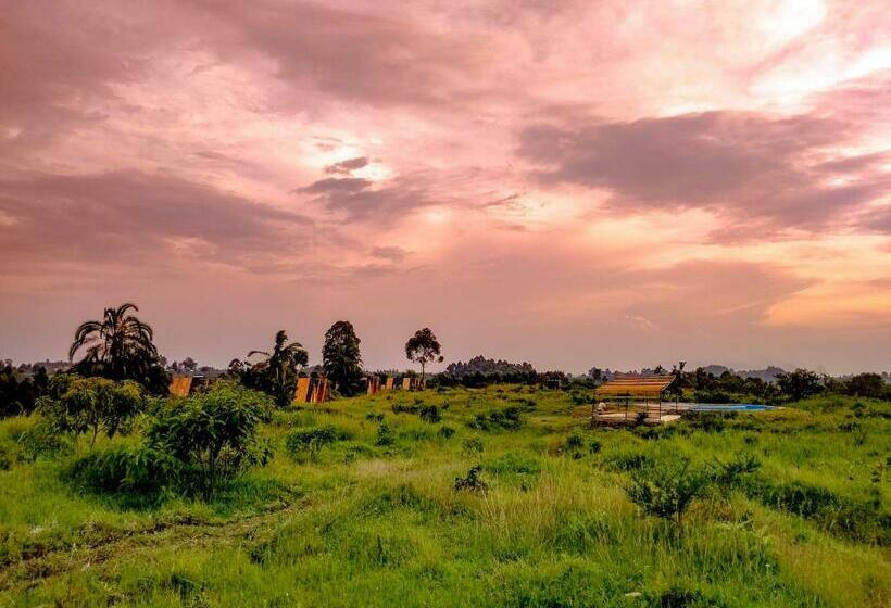 هتل Akira Alira Lodge