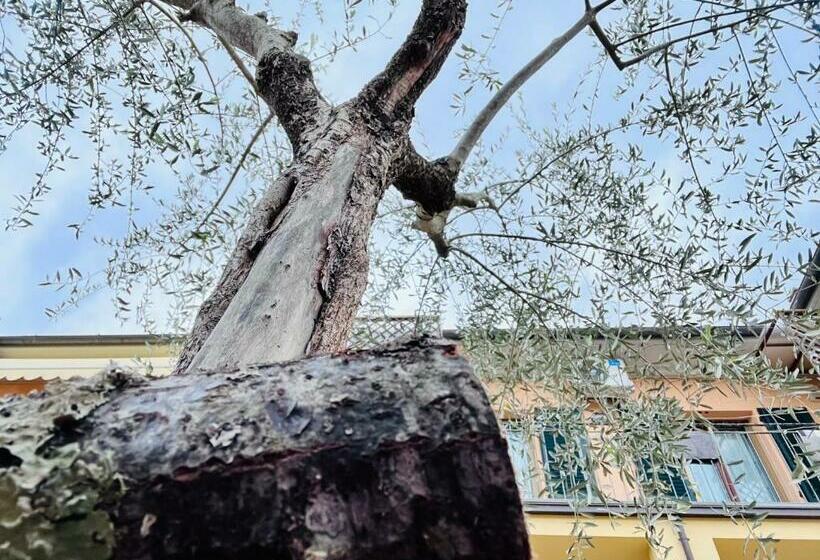 膳宿费 Locazione Turistica Casa Lalli