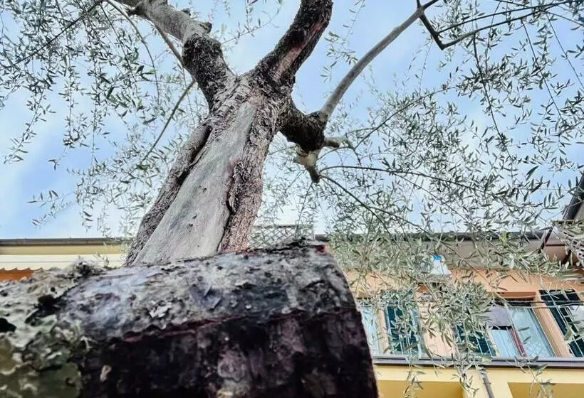 Majatalo Locazione Turistica Casa Lalli