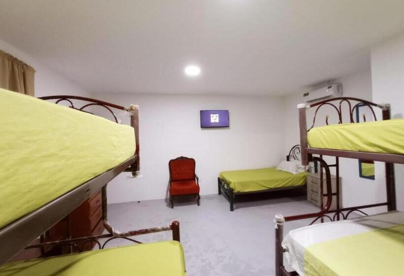 Pension Hostal El Naufrago 2