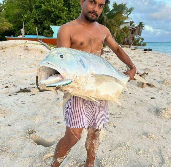 پانسیون White Sand Himandhoo