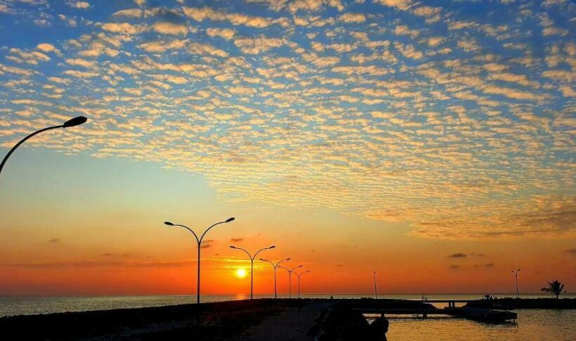پانسیون White Sand Himandhoo