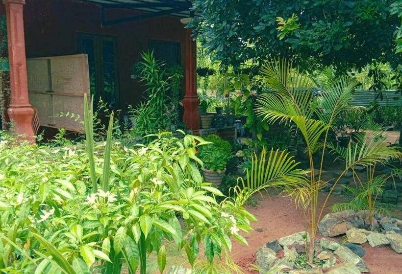 ホテル Oleena Home Stay