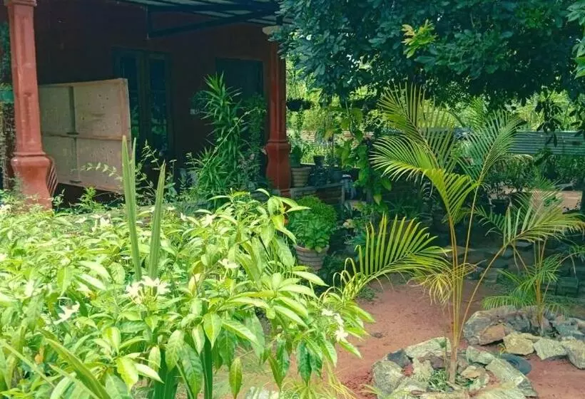 هتل Oleena Home Stay