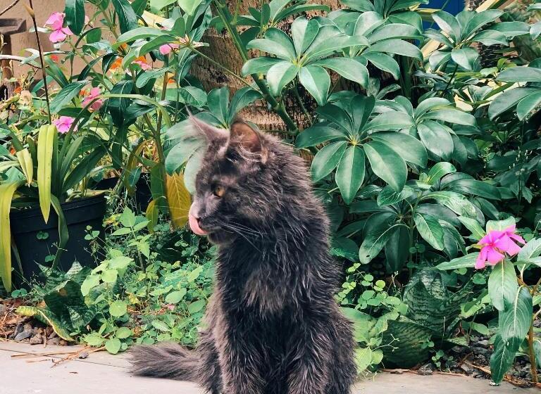 تختخواب و صبحانه Casa Babalahy