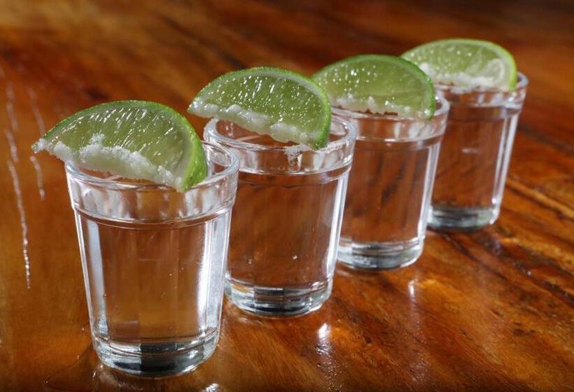 膳宿费 Saint Germain Wind Residence